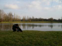 Tales Of North : Missing Brother